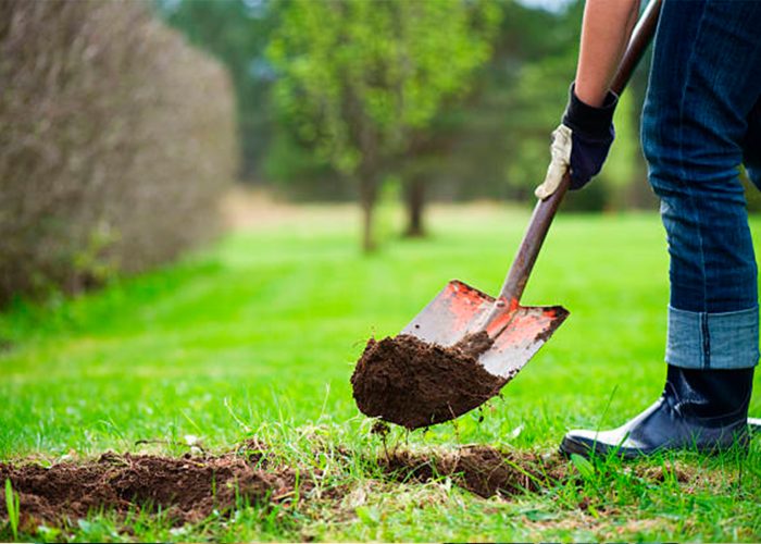istockphoto-180822485-612x612