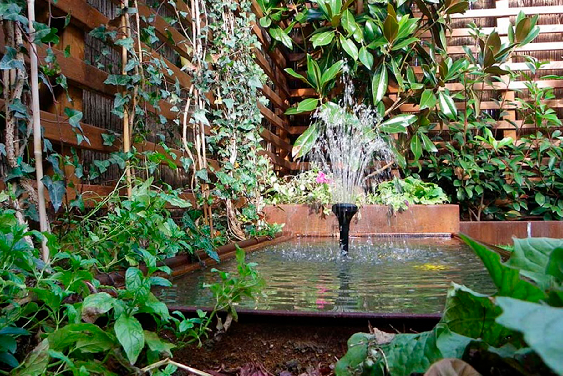estanques_jardin_pequeno estanques_jardin_pequeno
