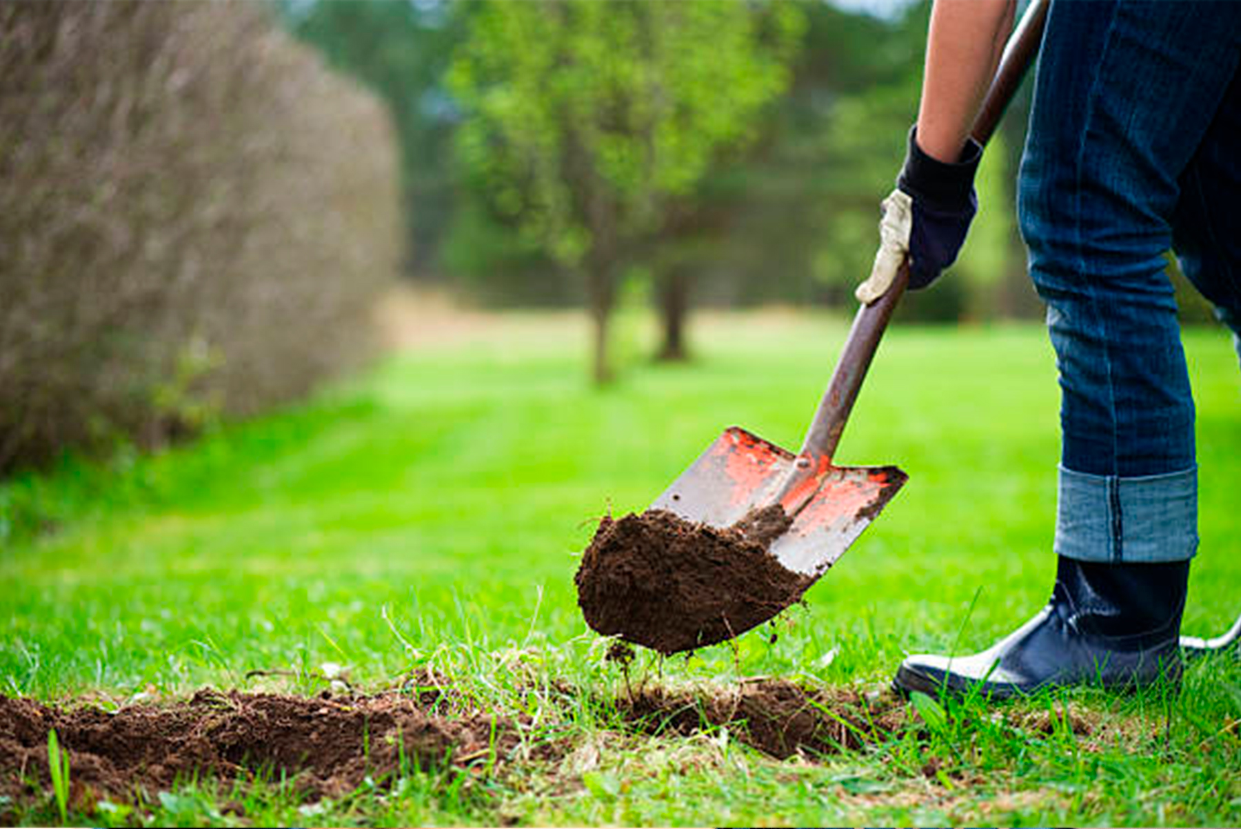 istockphoto-180822485-612×612 istockphoto-180822485-612x612